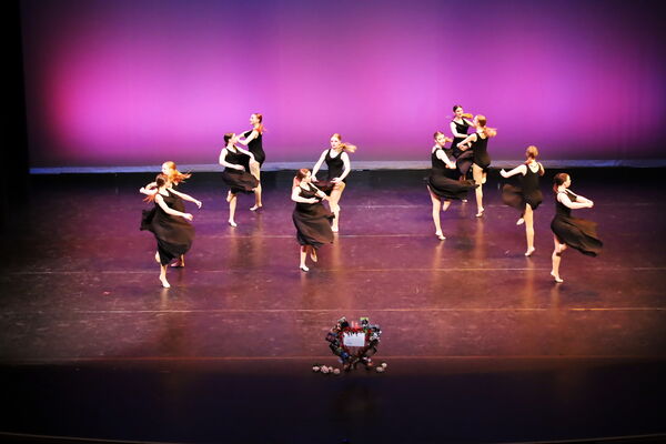 Keywords: Hayley_B;Evelyn_C;Lauren_D;Lauren_F;Sydney_K;Erin_K;Katelyn_L;Brandi_M;Jessica_P;Nora_R;Alicia_S;Grace_V