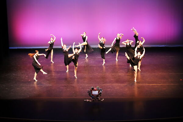 Keywords: Hayley_B;Evelyn_C;Lauren_D;Lauren_F;Sydney_K;Erin_K;Katelyn_L;Brandi_M;Jessica_P;Nora_R;Alicia_S;Grace_V