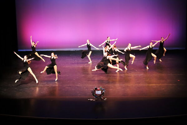 Keywords: Hayley_B;Evelyn_C;Lauren_D;Lauren_F;Sydney_K;Erin_K;Katelyn_L;Brandi_M;Jessica_P;Nora_R;Alicia_S;Grace_V