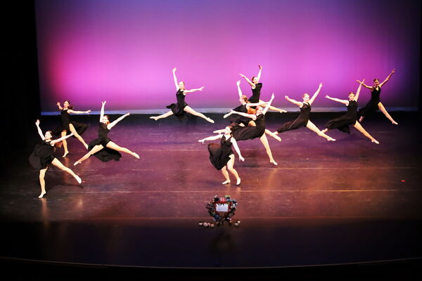 Keywords: Hayley_B;Evelyn_C;Lauren_D;Lauren_F;Sydney_K;Erin_K;Katelyn_L;Brandi_M;Jessica_P;Nora_R;Alicia_S;Grace_V