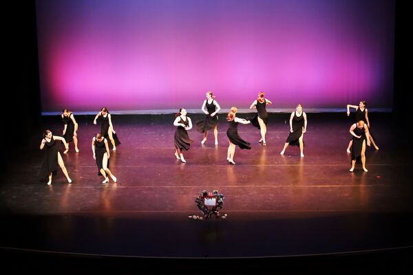 Keywords: Hayley_B;Evelyn_C;Lauren_D;Lauren_F;Sydney_K;Erin_K;Katelyn_L;Brandi_M;Jessica_P;Nora_R;Alicia_S;Grace_V