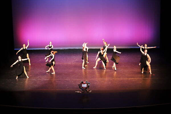 Keywords: Hayley_B;Evelyn_C;Lauren_D;Lauren_F;Sydney_K;Erin_K;Katelyn_L;Brandi_M;Jessica_P;Nora_R;Alicia_S;Grace_V