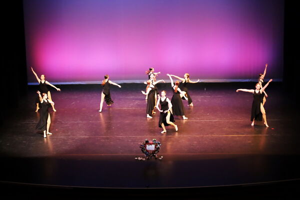 Keywords: Hayley_B;Evelyn_C;Lauren_D;Lauren_F;Sydney_K;Erin_K;Katelyn_L;Brandi_M;Jessica_P;Nora_R;Alicia_S;Grace_V