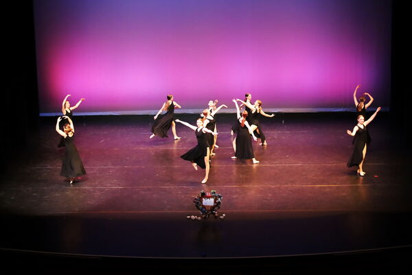 Keywords: Hayley_B;Evelyn_C;Lauren_D;Lauren_F;Sydney_K;Erin_K;Katelyn_L;Brandi_M;Jessica_P;Nora_R;Alicia_S;Grace_V