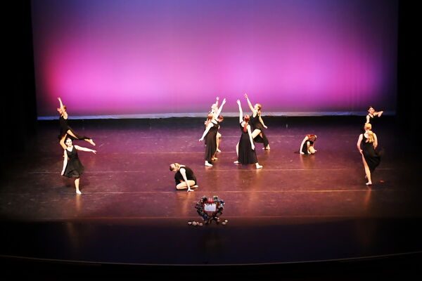 Keywords: Hayley_B;Evelyn_C;Lauren_D;Lauren_F;Sydney_K;Erin_K;Katelyn_L;Brandi_M;Jessica_P;Nora_R;Alicia_S;Grace_V