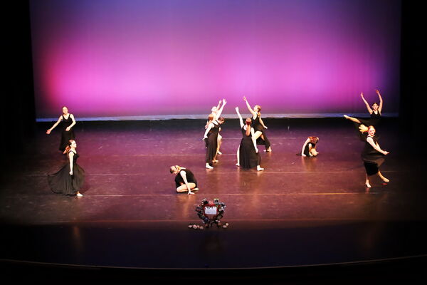 Keywords: Hayley_B;Evelyn_C;Lauren_D;Lauren_F;Sydney_K;Erin_K;Katelyn_L;Brandi_M;Jessica_P;Nora_R;Alicia_S;Grace_V