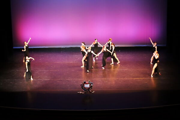 Keywords: Hayley_B;Evelyn_C;Lauren_D;Lauren_F;Sydney_K;Erin_K;Katelyn_L;Brandi_M;Jessica_P;Nora_R;Alicia_S;Grace_V