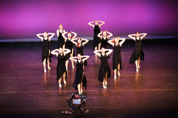 Keywords: Hayley_B;Evelyn_C;Lauren_D;Lauren_F;Sydney_K;Erin_K;Katelyn_L;Brandi_M;Jessica_P;Nora_R;Alicia_S;Grace_V