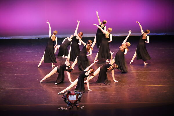 Keywords: Hayley_B;Evelyn_C;Lauren_D;Lauren_F;Sydney_K;Erin_K;Katelyn_L;Brandi_M;Jessica_P;Nora_R;Alicia_S;Grace_V