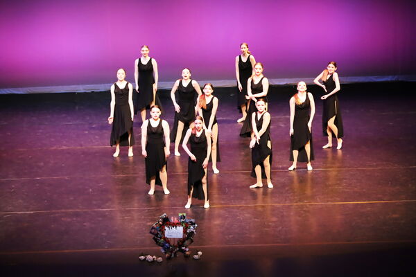 Keywords: Hayley_B;Evelyn_C;Lauren_D;Lauren_F;Sydney_K;Erin_K;Katelyn_L;Brandi_M;Jessica_P;Nora_R;Alicia_S;Grace_V