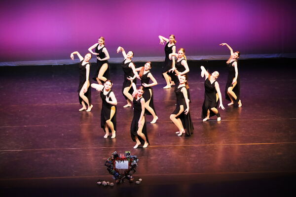 Keywords: Hayley_B;Evelyn_C;Lauren_D;Lauren_F;Sydney_K;Erin_K;Katelyn_L;Brandi_M;Jessica_P;Nora_R;Alicia_S;Grace_V