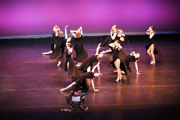 Keywords: Hayley_B;Evelyn_C;Lauren_D;Lauren_F;Sydney_K;Erin_K;Katelyn_L;Brandi_M;Jessica_P;Nora_R;Alicia_S;Grace_V