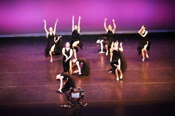 Keywords: Hayley_B;Evelyn_C;Lauren_D;Lauren_F;Sydney_K;Erin_K;Katelyn_L;Brandi_M;Jessica_P;Nora_R;Alicia_S;Grace_V