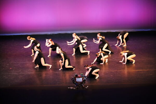 Keywords: Hayley_B;Evelyn_C;Lauren_D;Lauren_F;Sydney_K;Erin_K;Katelyn_L;Brandi_M;Jessica_P;Nora_R;Alicia_S;Grace_V