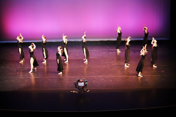 Keywords: Hayley_B;Evelyn_C;Lauren_D;Lauren_F;Sydney_K;Erin_K;Katelyn_L;Brandi_M;Jessica_P;Nora_R;Alicia_S;Grace_V