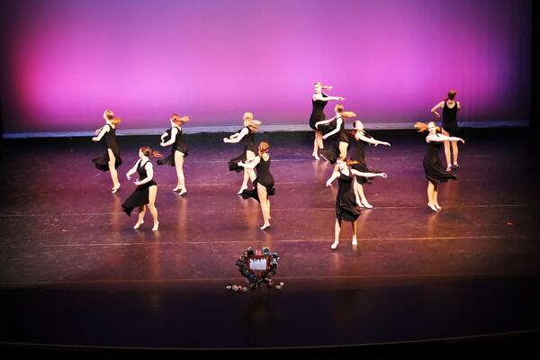 Keywords: Hayley_B;Evelyn_C;Lauren_D;Lauren_F;Sydney_K;Erin_K;Katelyn_L;Brandi_M;Jessica_P;Nora_R;Alicia_S;Grace_V