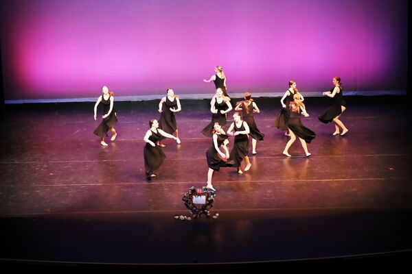 Keywords: Hayley_B;Evelyn_C;Lauren_D;Lauren_F;Sydney_K;Erin_K;Katelyn_L;Brandi_M;Jessica_P;Nora_R;Alicia_S;Grace_V