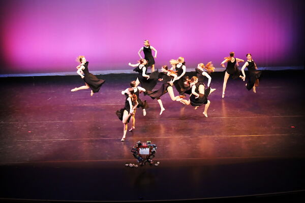 Keywords: Hayley_B;Evelyn_C;Lauren_D;Lauren_F;Sydney_K;Erin_K;Katelyn_L;Brandi_M;Jessica_P;Nora_R;Alicia_S;Grace_V