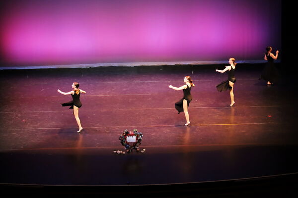 Keywords: Hayley_B;Evelyn_C;Lauren_D;Lauren_F;Sydney_K;Erin_K;Katelyn_L;Brandi_M;Jessica_P;Nora_R;Alicia_S;Grace_V