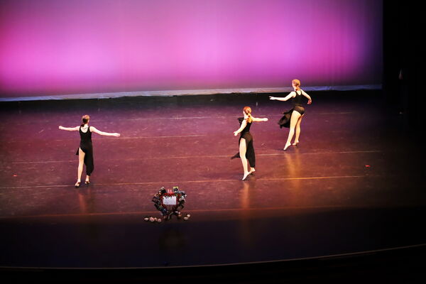 Keywords: Hayley_B;Evelyn_C;Lauren_D;Lauren_F;Sydney_K;Erin_K;Katelyn_L;Brandi_M;Jessica_P;Nora_R;Alicia_S;Grace_V