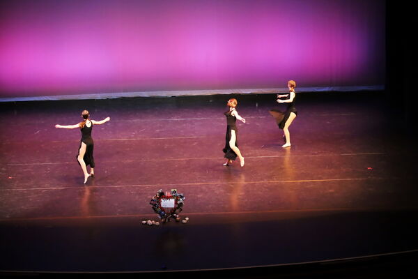 Keywords: Hayley_B;Evelyn_C;Lauren_D;Lauren_F;Sydney_K;Erin_K;Katelyn_L;Brandi_M;Jessica_P;Nora_R;Alicia_S;Grace_V