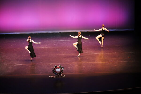 Keywords: Hayley_B;Evelyn_C;Lauren_D;Lauren_F;Sydney_K;Erin_K;Katelyn_L;Brandi_M;Jessica_P;Nora_R;Alicia_S;Grace_V