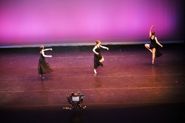 Keywords: Hayley_B;Evelyn_C;Lauren_D;Lauren_F;Sydney_K;Erin_K;Katelyn_L;Brandi_M;Jessica_P;Nora_R;Alicia_S;Grace_V