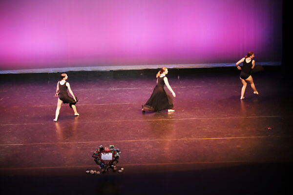 Keywords: Hayley_B;Evelyn_C;Lauren_D;Lauren_F;Sydney_K;Erin_K;Katelyn_L;Brandi_M;Jessica_P;Nora_R;Alicia_S;Grace_V