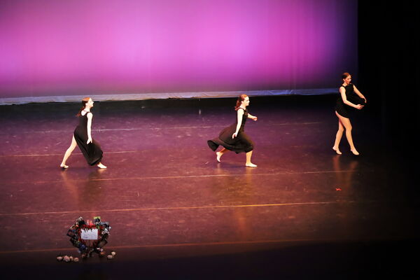 Keywords: Hayley_B;Evelyn_C;Lauren_D;Lauren_F;Sydney_K;Erin_K;Katelyn_L;Brandi_M;Jessica_P;Nora_R;Alicia_S;Grace_V