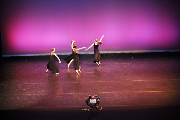 Keywords: Hayley_B;Evelyn_C;Lauren_D;Lauren_F;Sydney_K;Erin_K;Katelyn_L;Brandi_M;Jessica_P;Nora_R;Alicia_S;Grace_V