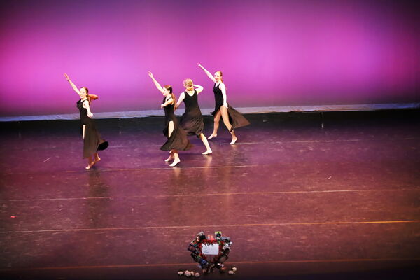 Keywords: Hayley_B;Evelyn_C;Lauren_D;Lauren_F;Sydney_K;Erin_K;Katelyn_L;Brandi_M;Jessica_P;Nora_R;Alicia_S;Grace_V