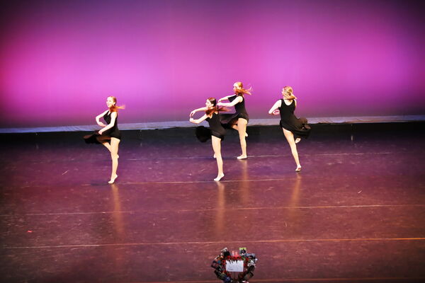 Keywords: Hayley_B;Evelyn_C;Lauren_D;Lauren_F;Sydney_K;Erin_K;Katelyn_L;Brandi_M;Jessica_P;Nora_R;Alicia_S;Grace_V