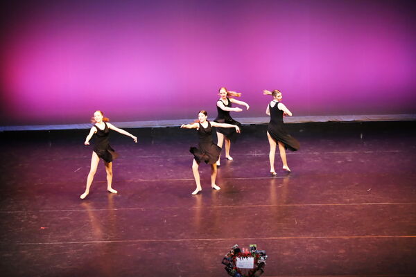 Keywords: Hayley_B;Evelyn_C;Lauren_D;Lauren_F;Sydney_K;Erin_K;Katelyn_L;Brandi_M;Jessica_P;Nora_R;Alicia_S;Grace_V