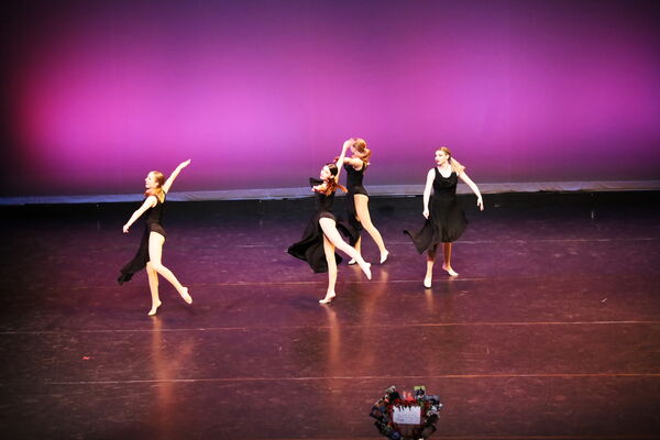 Keywords: Hayley_B;Evelyn_C;Lauren_D;Lauren_F;Sydney_K;Erin_K;Katelyn_L;Brandi_M;Jessica_P;Nora_R;Alicia_S;Grace_V