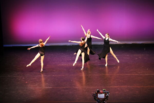 Keywords: Hayley_B;Evelyn_C;Lauren_D;Lauren_F;Sydney_K;Erin_K;Katelyn_L;Brandi_M;Jessica_P;Nora_R;Alicia_S;Grace_V