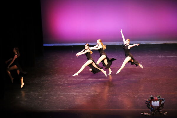 Keywords: Hayley_B;Evelyn_C;Lauren_D;Lauren_F;Sydney_K;Erin_K;Katelyn_L;Brandi_M;Jessica_P;Nora_R;Alicia_S;Grace_V