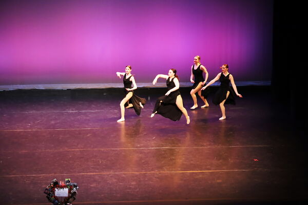 Keywords: Hayley_B;Evelyn_C;Lauren_D;Lauren_F;Sydney_K;Erin_K;Katelyn_L;Brandi_M;Jessica_P;Nora_R;Alicia_S;Grace_V