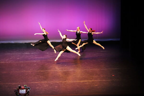 Keywords: Hayley_B;Evelyn_C;Lauren_D;Lauren_F;Sydney_K;Erin_K;Katelyn_L;Brandi_M;Jessica_P;Nora_R;Alicia_S;Grace_V