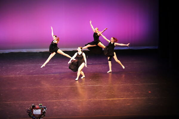 Keywords: Hayley_B;Evelyn_C;Lauren_D;Lauren_F;Sydney_K;Erin_K;Katelyn_L;Brandi_M;Jessica_P;Nora_R;Alicia_S;Grace_V