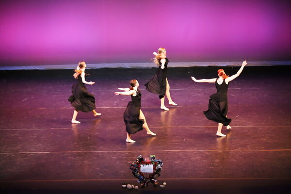 Keywords: Hayley_B;Evelyn_C;Lauren_D;Lauren_F;Sydney_K;Erin_K;Katelyn_L;Brandi_M;Jessica_P;Nora_R;Alicia_S;Grace_V