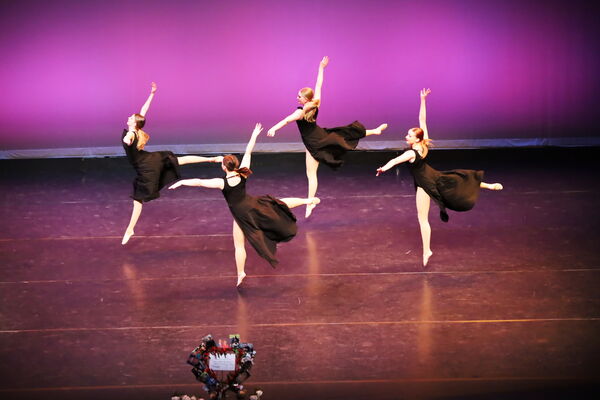 Keywords: Hayley_B;Evelyn_C;Lauren_D;Lauren_F;Sydney_K;Erin_K;Katelyn_L;Brandi_M;Jessica_P;Nora_R;Alicia_S;Grace_V