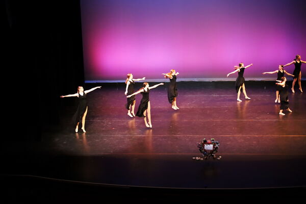 Keywords: Hayley_B;Evelyn_C;Lauren_D;Lauren_F;Sydney_K;Erin_K;Katelyn_L;Brandi_M;Jessica_P;Nora_R;Alicia_S;Grace_V