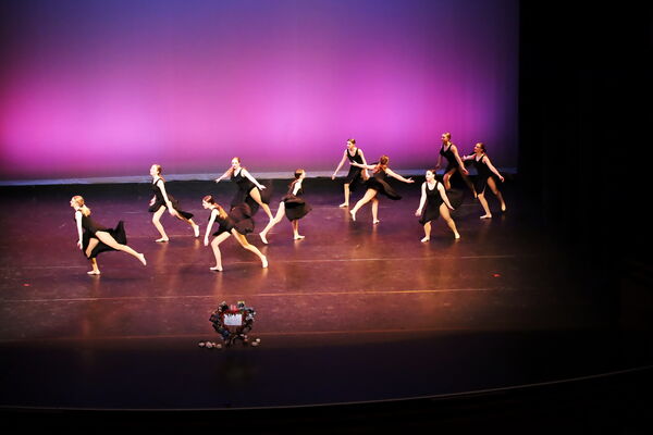 Keywords: Hayley_B;Evelyn_C;Lauren_D;Lauren_F;Sydney_K;Erin_K;Katelyn_L;Brandi_M;Jessica_P;Nora_R;Alicia_S;Grace_V