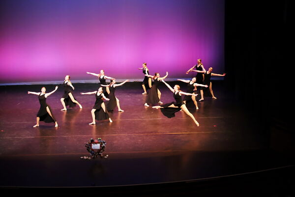 Keywords: Hayley_B;Evelyn_C;Lauren_D;Lauren_F;Sydney_K;Erin_K;Katelyn_L;Brandi_M;Jessica_P;Nora_R;Alicia_S;Grace_V