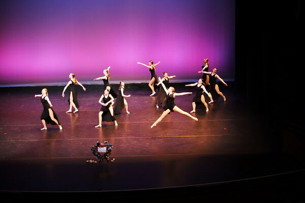 Keywords: Hayley_B;Evelyn_C;Lauren_D;Lauren_F;Sydney_K;Erin_K;Katelyn_L;Brandi_M;Jessica_P;Nora_R;Alicia_S;Grace_V