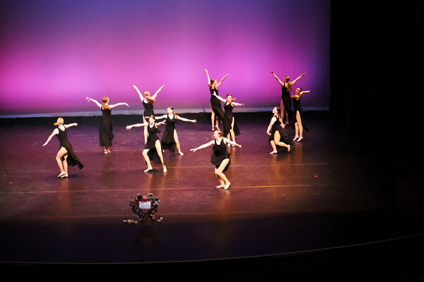 Keywords: Hayley_B;Evelyn_C;Lauren_D;Lauren_F;Sydney_K;Erin_K;Katelyn_L;Brandi_M;Jessica_P;Nora_R;Alicia_S;Grace_V