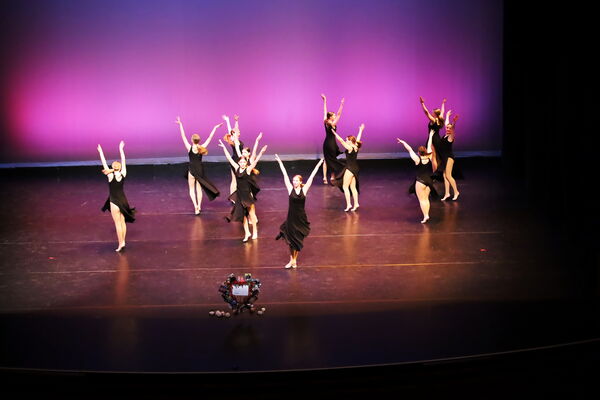 Keywords: Hayley_B;Evelyn_C;Lauren_D;Lauren_F;Sydney_K;Erin_K;Katelyn_L;Brandi_M;Jessica_P;Nora_R;Alicia_S;Grace_V