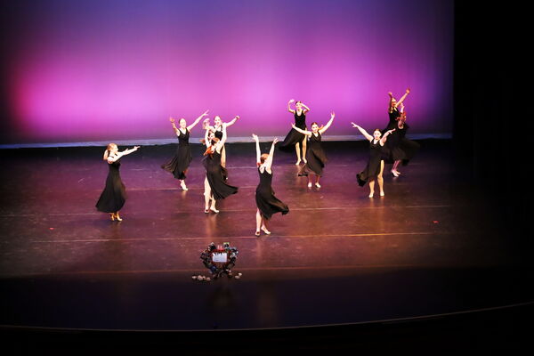 Keywords: Hayley_B;Evelyn_C;Lauren_D;Lauren_F;Sydney_K;Erin_K;Katelyn_L;Brandi_M;Jessica_P;Nora_R;Alicia_S;Grace_V