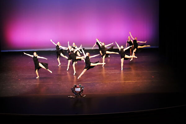 Keywords: Hayley_B;Evelyn_C;Lauren_D;Lauren_F;Sydney_K;Erin_K;Katelyn_L;Brandi_M;Jessica_P;Nora_R;Alicia_S;Grace_V