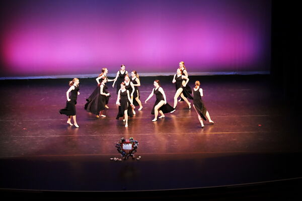 Keywords: Hayley_B;Evelyn_C;Lauren_D;Lauren_F;Sydney_K;Erin_K;Katelyn_L;Brandi_M;Jessica_P;Nora_R;Alicia_S;Grace_V